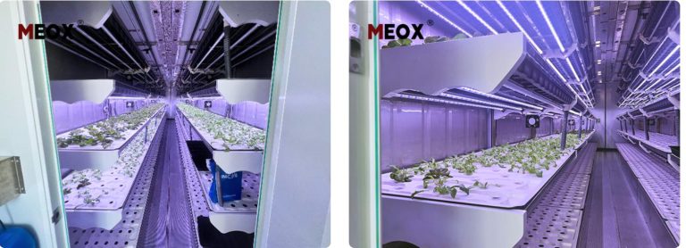 Container Farm that Advanced Solutions from Suzhou Zhongnan