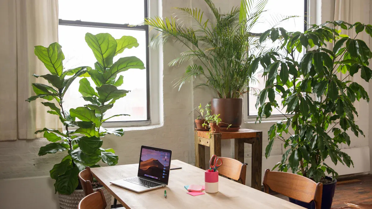 Sustainable Office Design