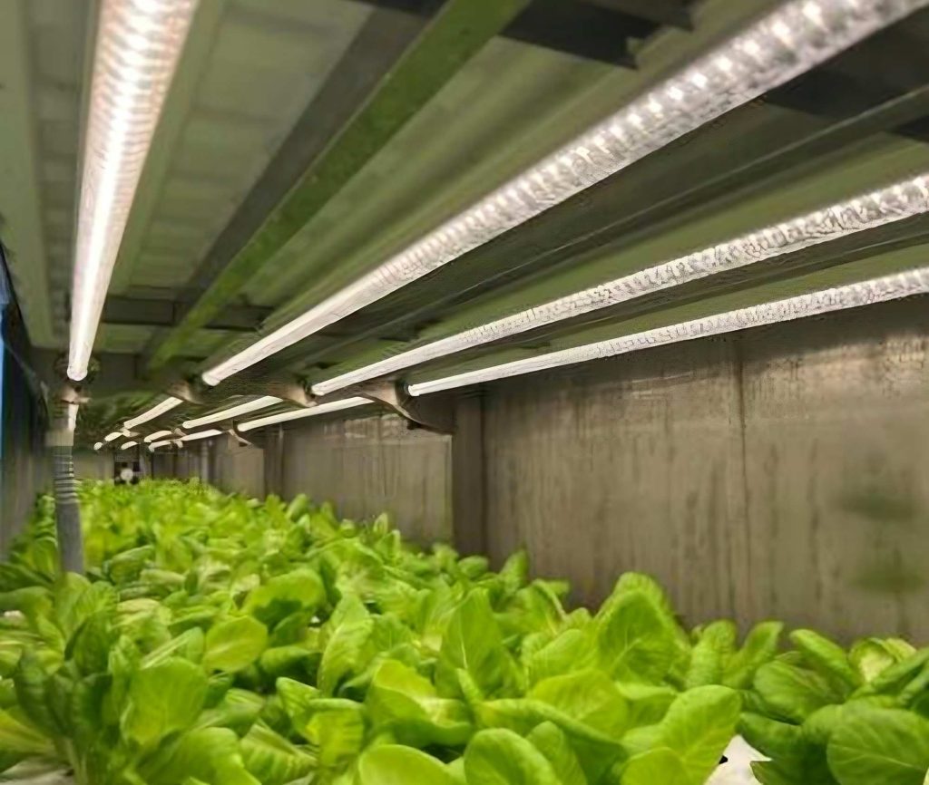 Planting-Container-Lighting-System