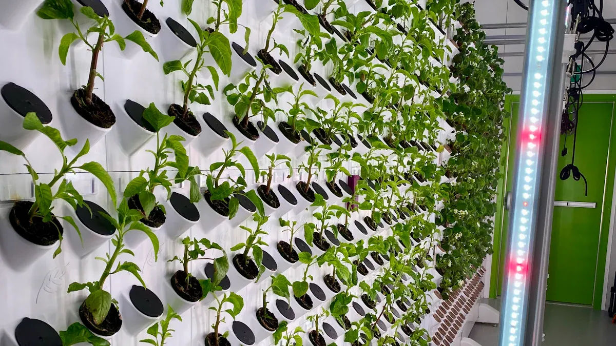 Solar-Container-Farming-Hydroponics