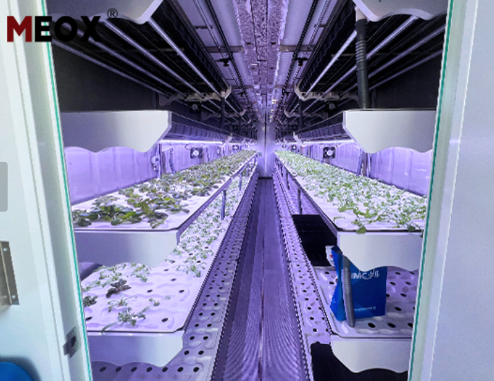 The Hydroponics of a Shipping Container Farm