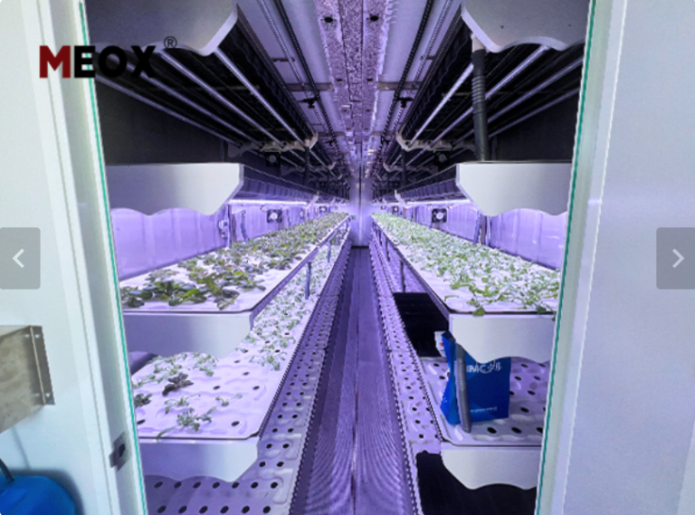 Vertical Farming Within a Container Farm