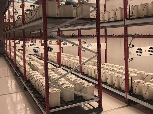 40ft high cube open side container