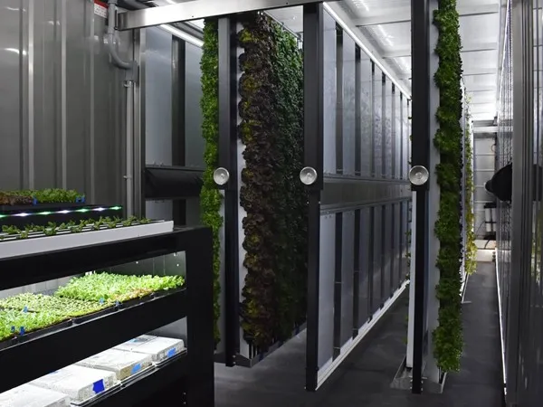 dangerous goods container for sale