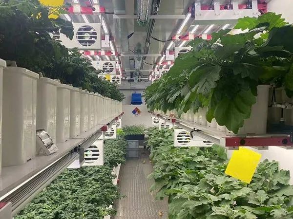 tiny house built from shipping container