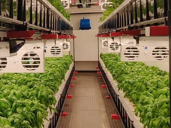 site office containers for sale