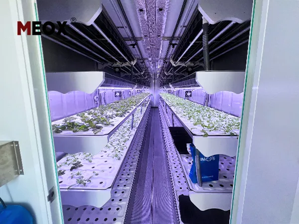 Shipping-Container-Farm-1