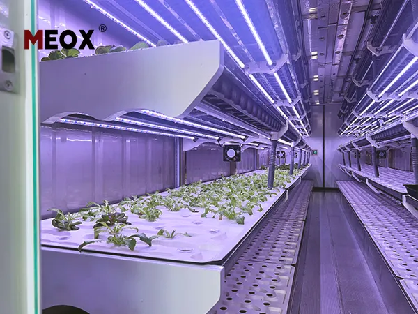 Shipping-Container-Farm-2