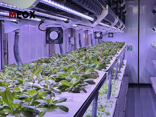Shipping-Container-Farm-3