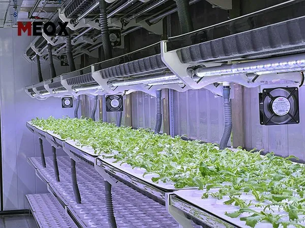 Shipping-Container-Farm-4