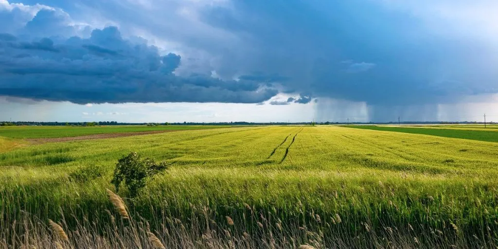 Solar-Shipping-Containers-in-Agrivoltaics
