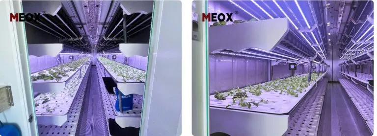 Container Farm that Advanced Solutions from Suzhou Zhongnan