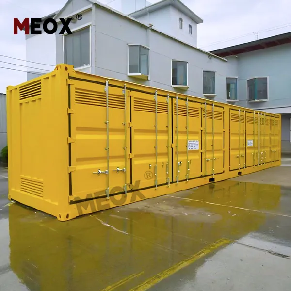 MEOX expert consulting with healthcare staff