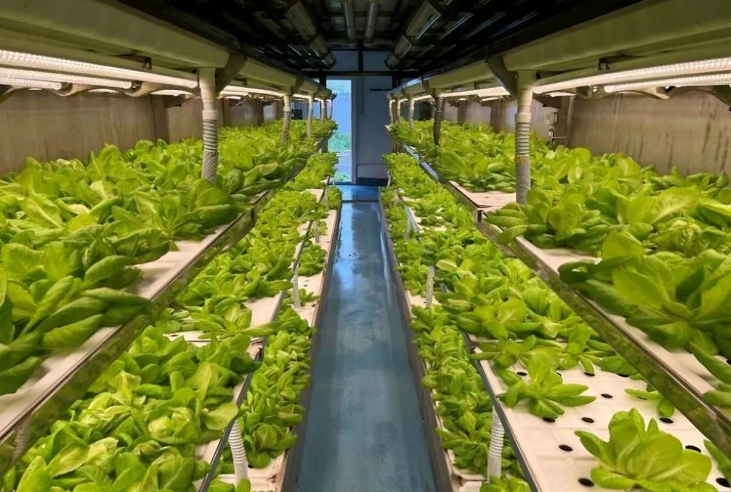 Planting-Container-Water-Circulation-System