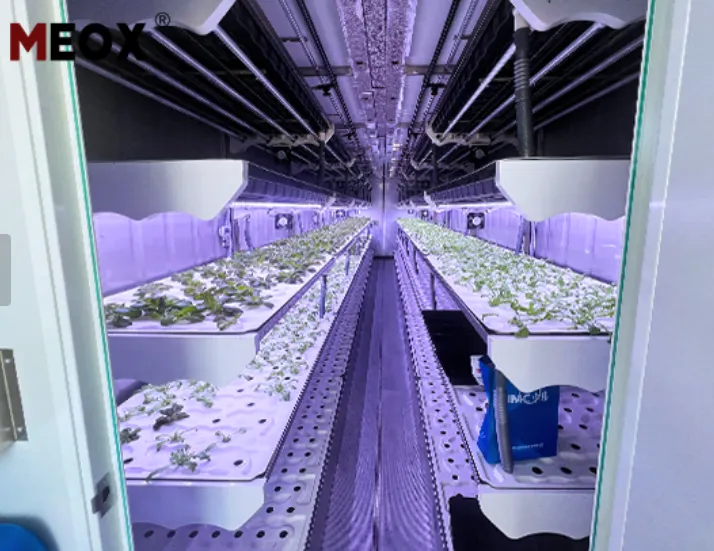 The Hydroponics of a Shipping Container Farm