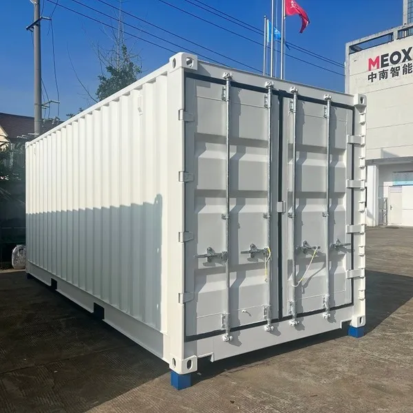 Double Door Shipping Container for Cross-Border Logistics
